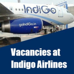 IndiGo Airlines Recruitment