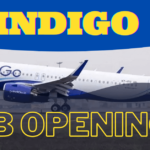 Indigo Airlines