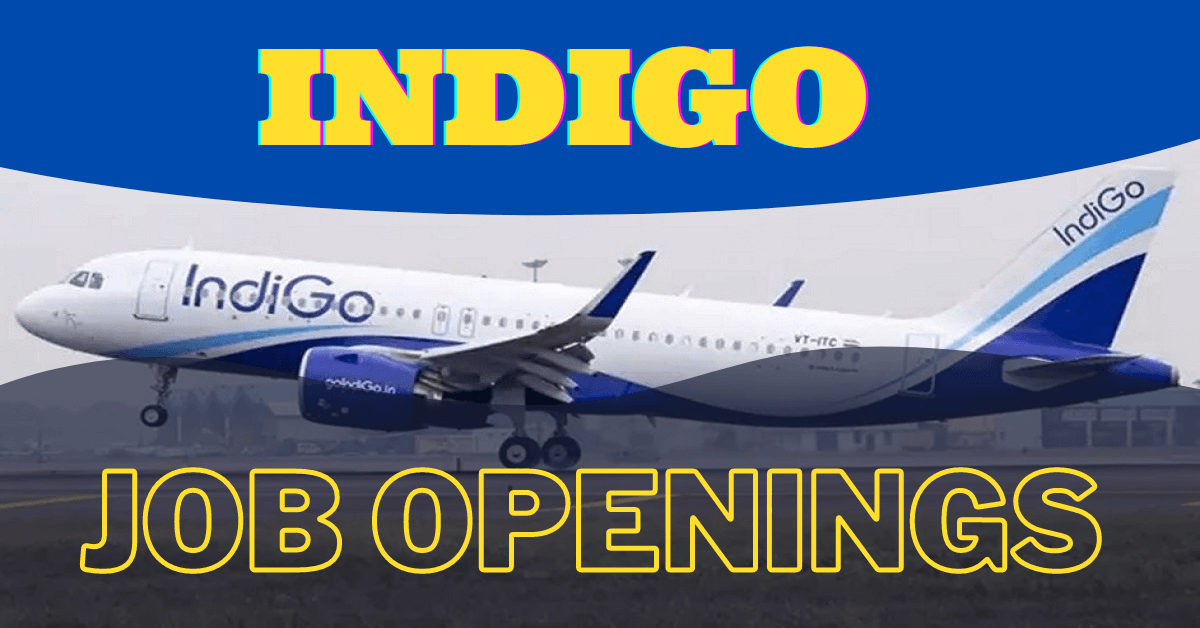 Indigo Airlines Careers Apply Online Indigo Airlines Job Vacancy