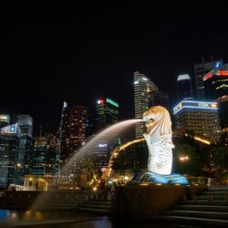 How to Find a Job in Singapore