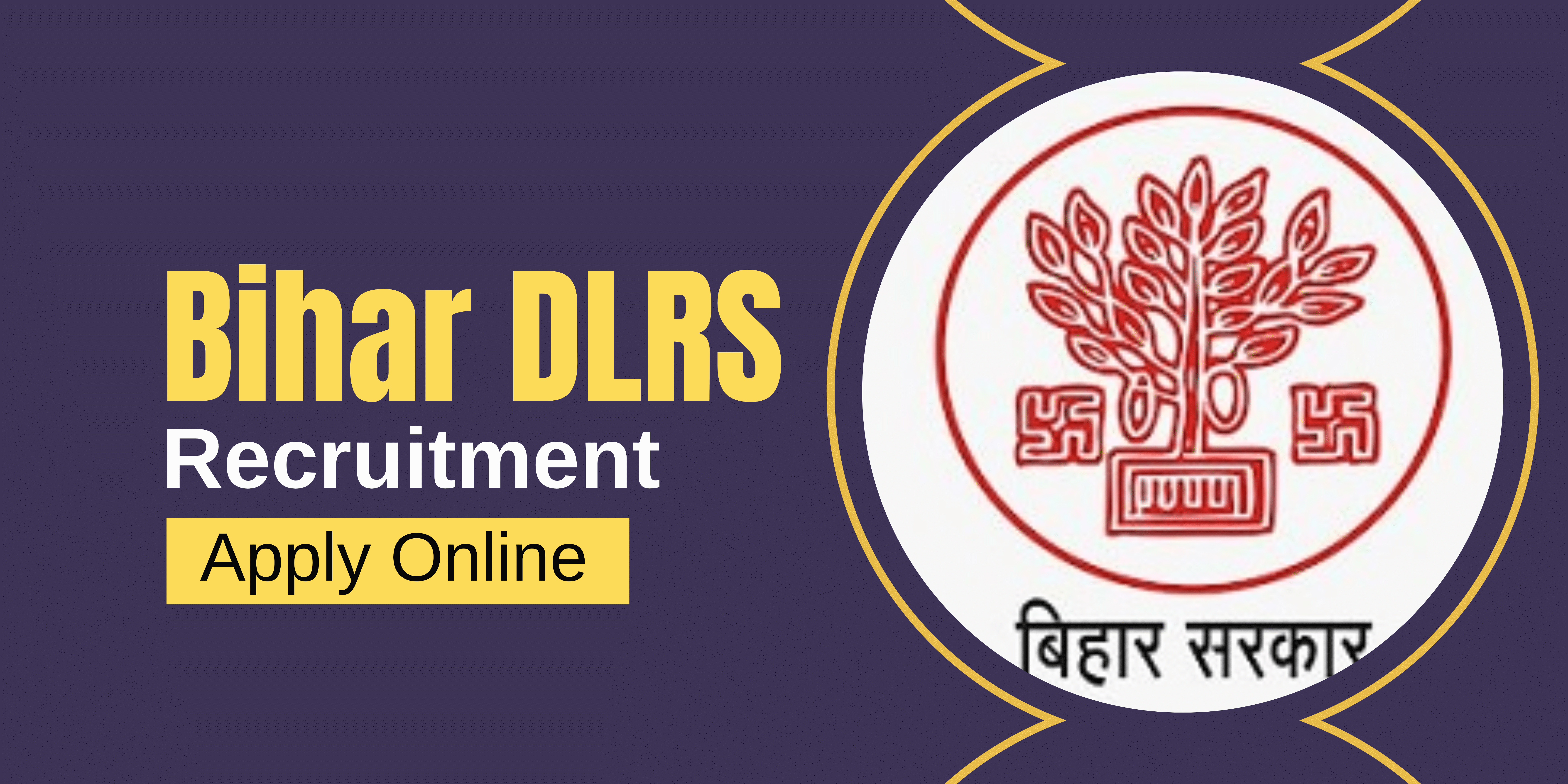 Bihar DLRS Recruitment